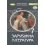 НУШ Зарубіжна література 7 клас. Підручник. Волощук Є.В. Генеза